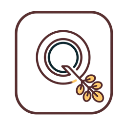 QeLOR